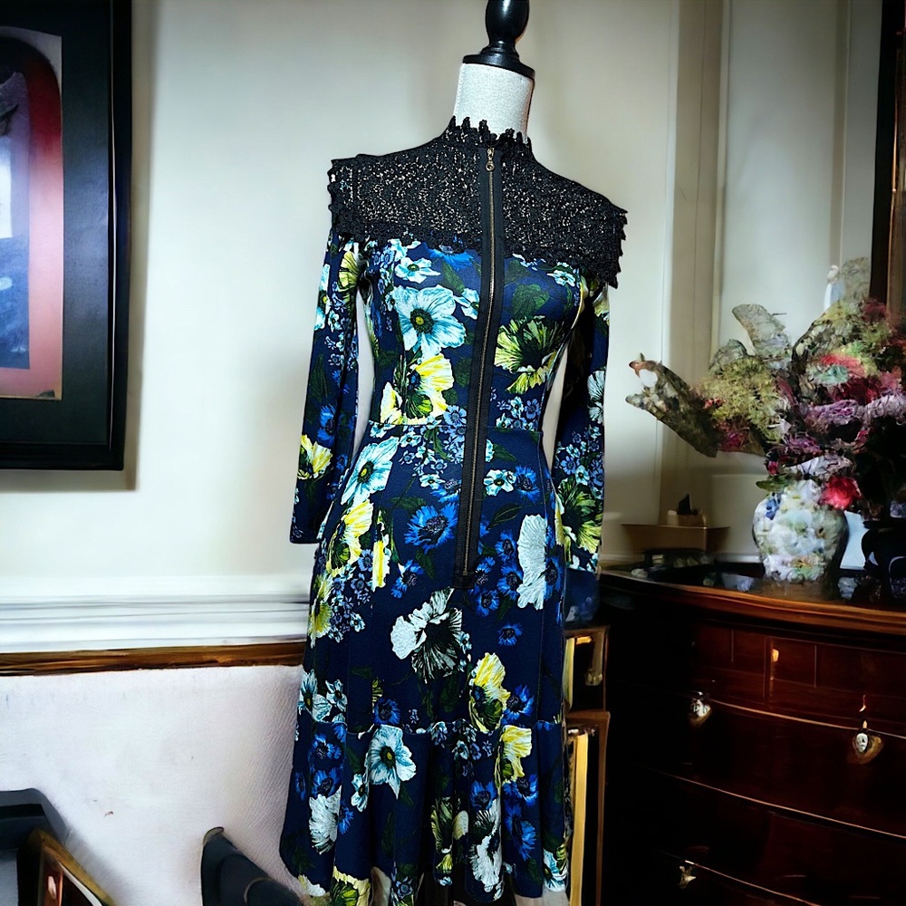 Erdem Floral Print and Lace Collar Dress with Gold Zipper Designer